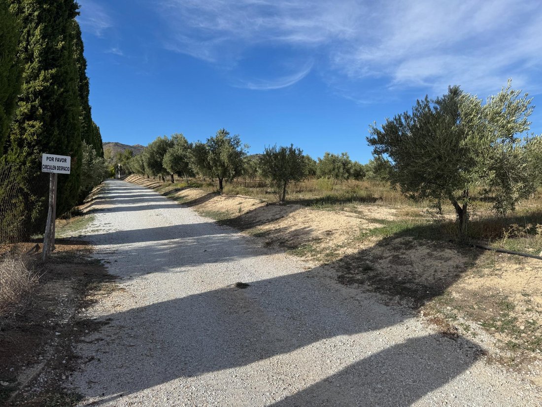 Country House in Huescar, Andalusia, Spain 4 - 16101245