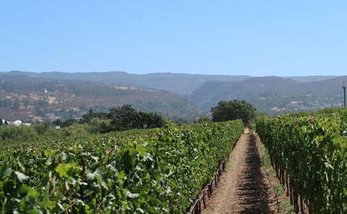 Tenuta in Napa Valley, California, Stati Uniti 1