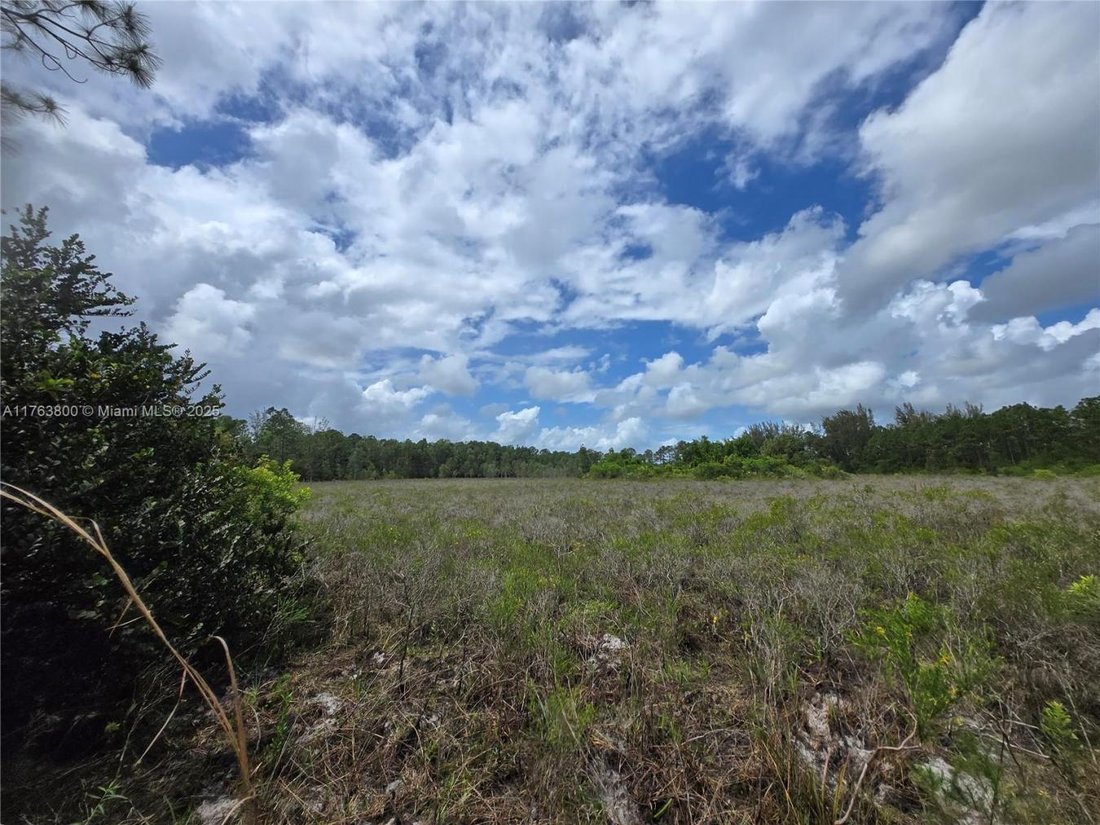 Land in Jupiter Island, Florida, United States 3 - 16102681