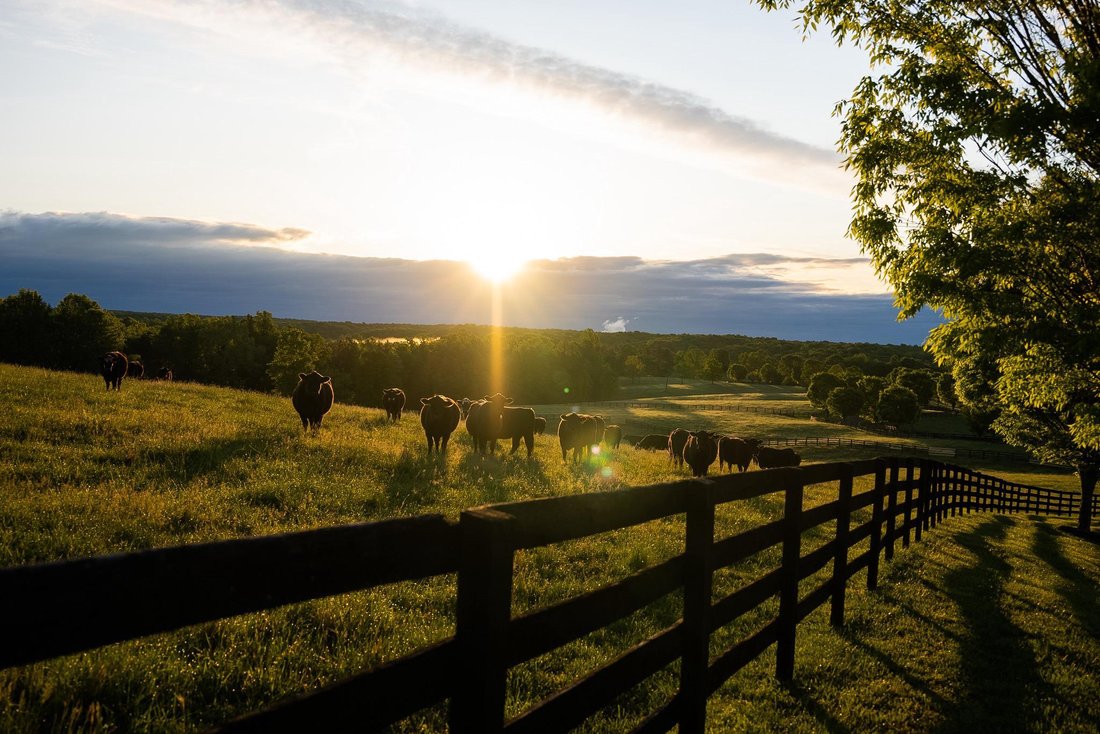 Land in Cunningham, Virginia, United States 3 - 16102568