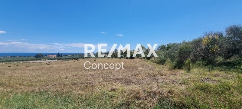Land in Basilikou, Peloponnese, Western Greece and the Ionian, Greece 2 - 16103594