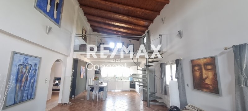 Mouzakiou, Laganas, Greece 4 - 16103586
