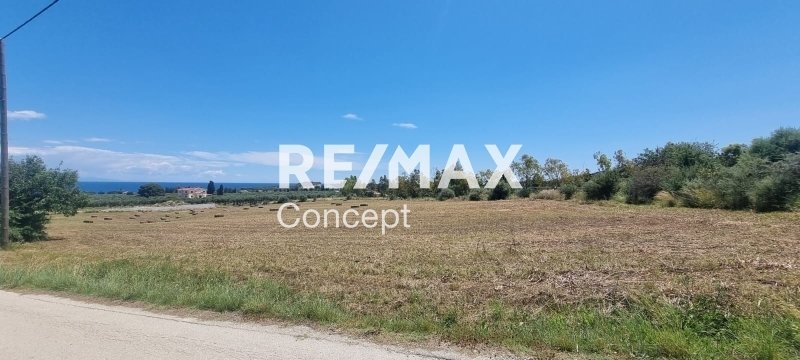 Land in Basilikou, Peloponnese, Western Greece and the Ionian, Greece 4 - 16103594