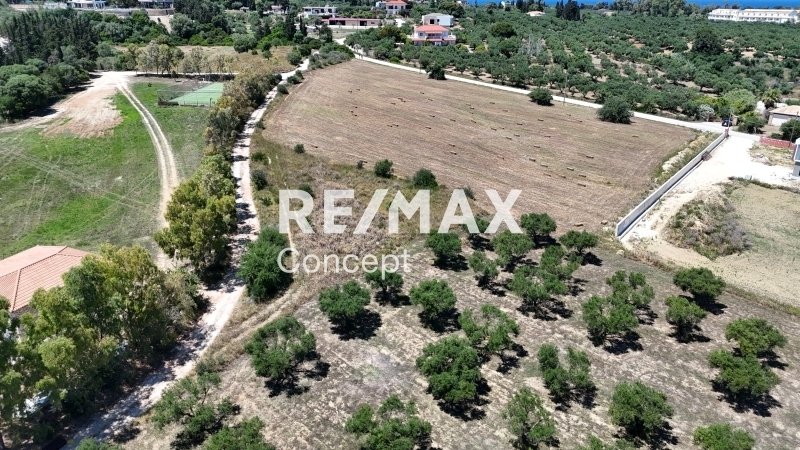 Land in Basilikou, Peloponnese, Western Greece and the Ionian, Greece 5 - 16103594