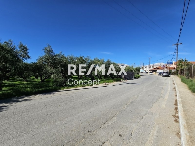 Land in Tragakiou, Arkadii, Greece 3 - 16103589
