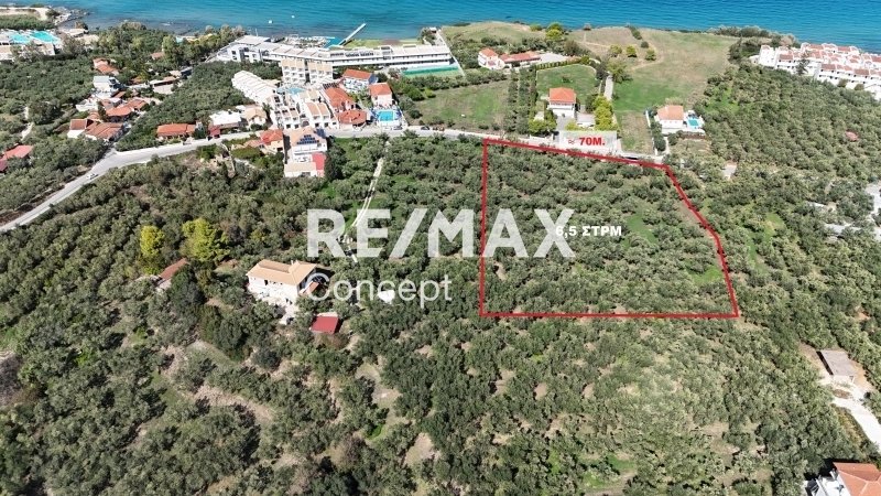 Land in Tragakiou, Arkadii, Greece 1 - 16103589
