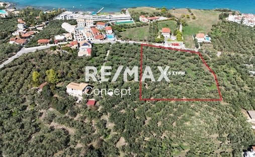 Land in Tragakiou, Arkadii, Greece 1