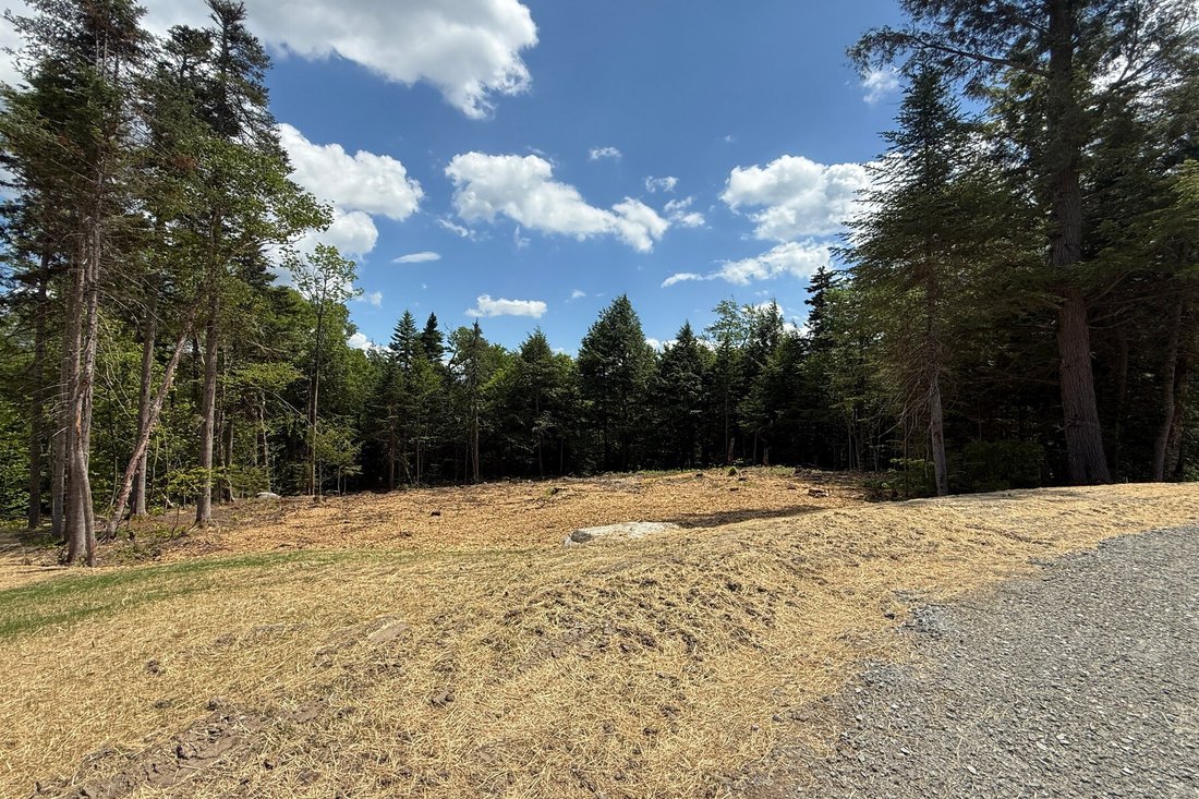Land in Wilmington, Vermont, United States 5 - 16103682