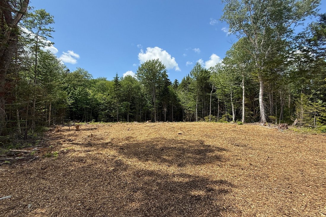 Land in Wilmington, Vermont, United States 3 - 16103682
