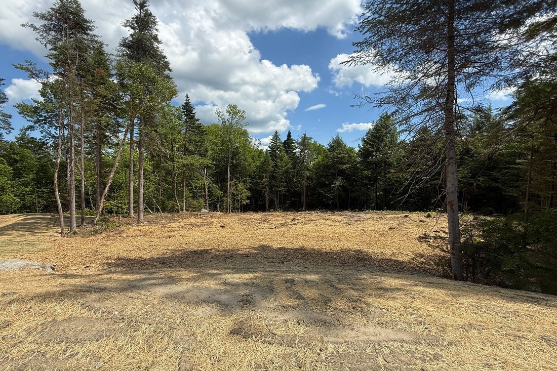 Land in Wilmington, Vermont, United States 4 - 16103682