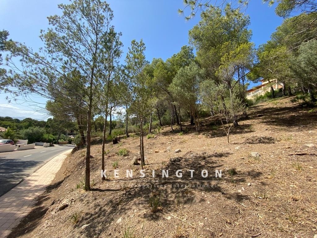 Land in Canyamel, Capdepera, Balearic Islands 3 - 16103770