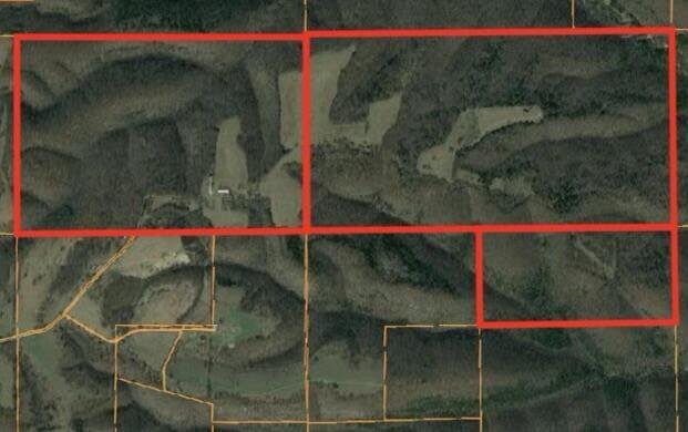 Farm Ranch in Cape Fair, Missouri, United States 2 - 16088763