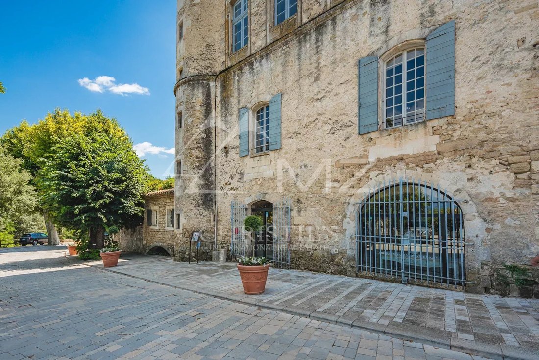 House in Ménerbes, Provence-Alpes-Côte d'Azur, France 2 - 16103848