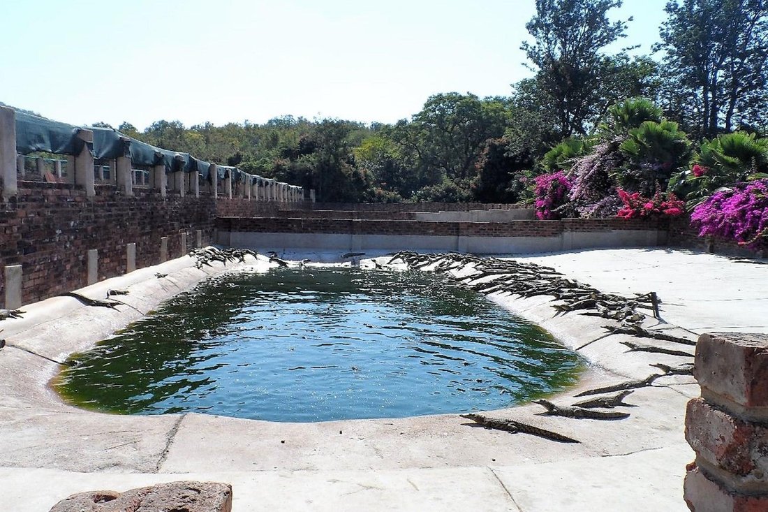 Farm Ranch in Mookgopong, Limpopo, South Africa 5 - 16106480