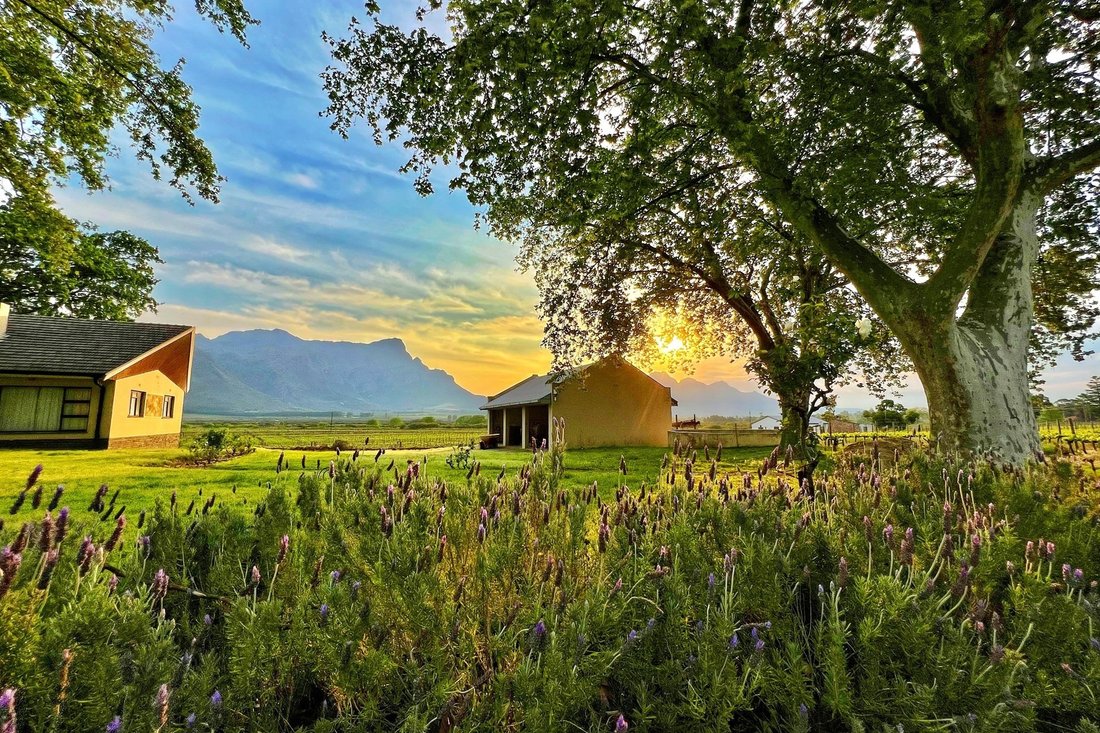 Farm Ranch in Franschhoek, Western Cape, South Africa 4 - 16106516