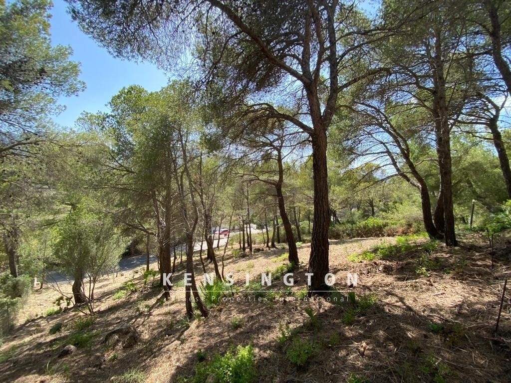 Land in Canyamel, Capdepera, Balearic Islands 2 - 16103770