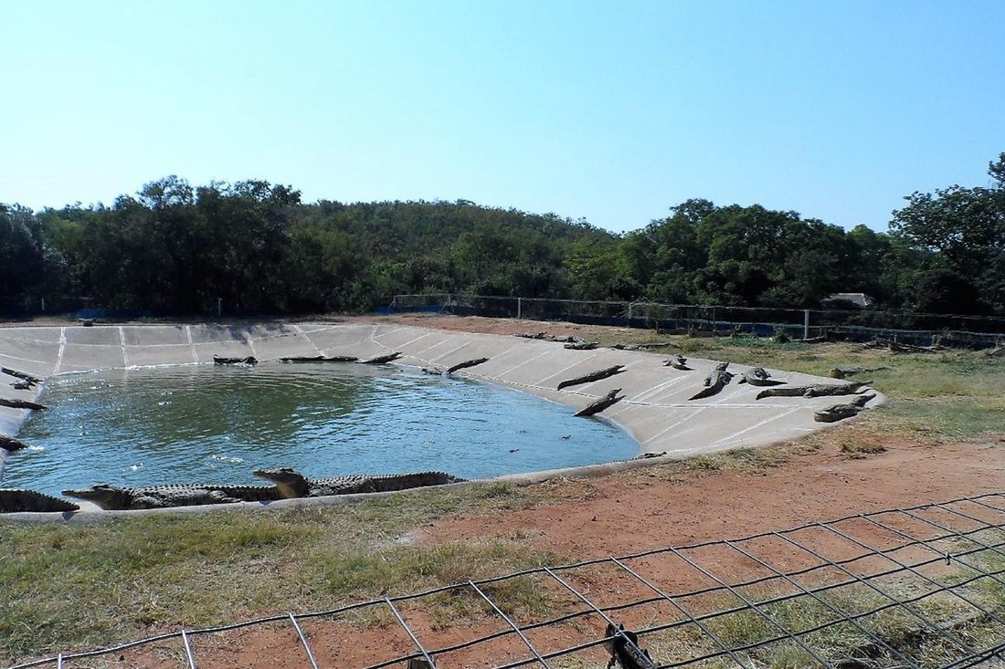 Farm Ranch in Mookgopong, Limpopo, South Africa 2 - 16106480