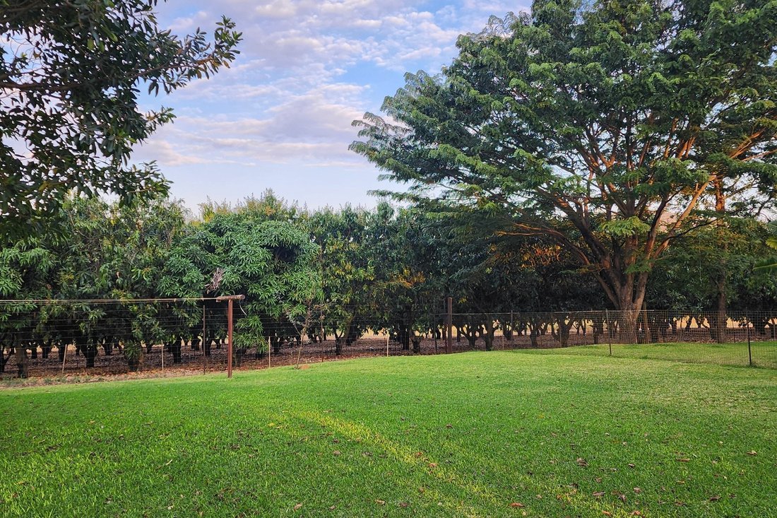 Farm Ranch in Tzaneen, Limpopo, South Africa 4 - 16106950