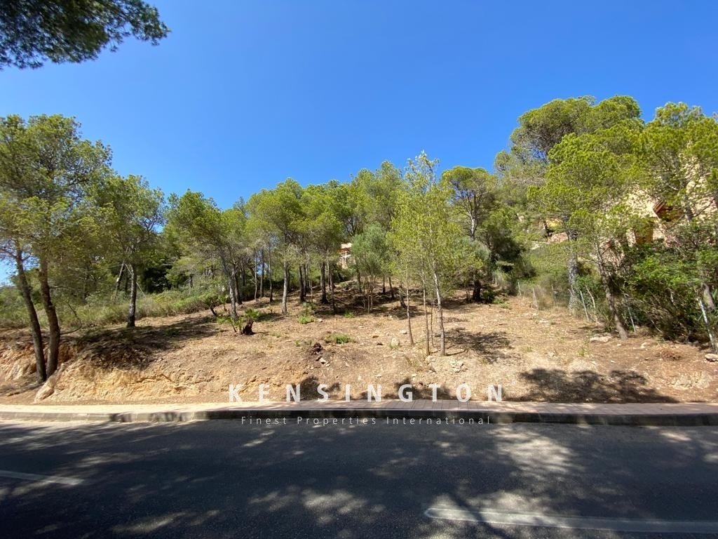 Land in Canyamel, Capdepera, Balearic Islands 1 - 16103770