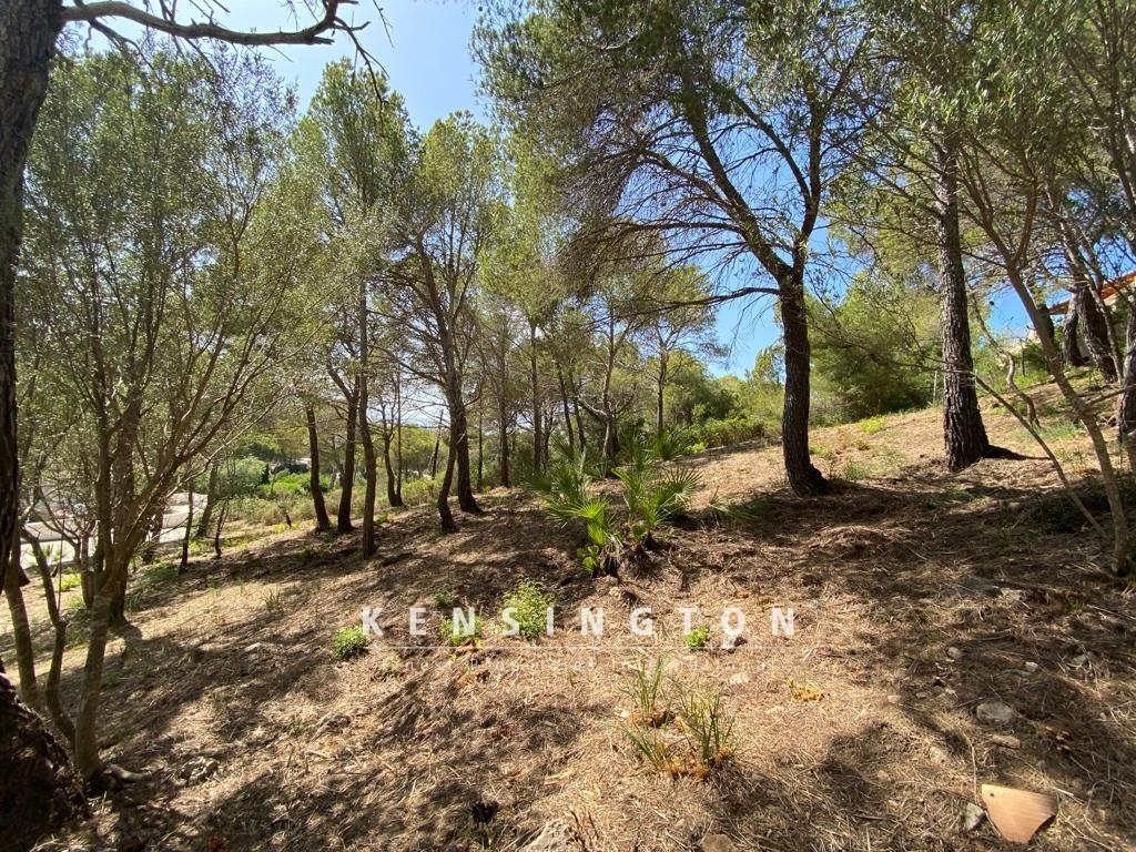 Land in Canyamel, Capdepera, Balearic Islands 5 - 16103770