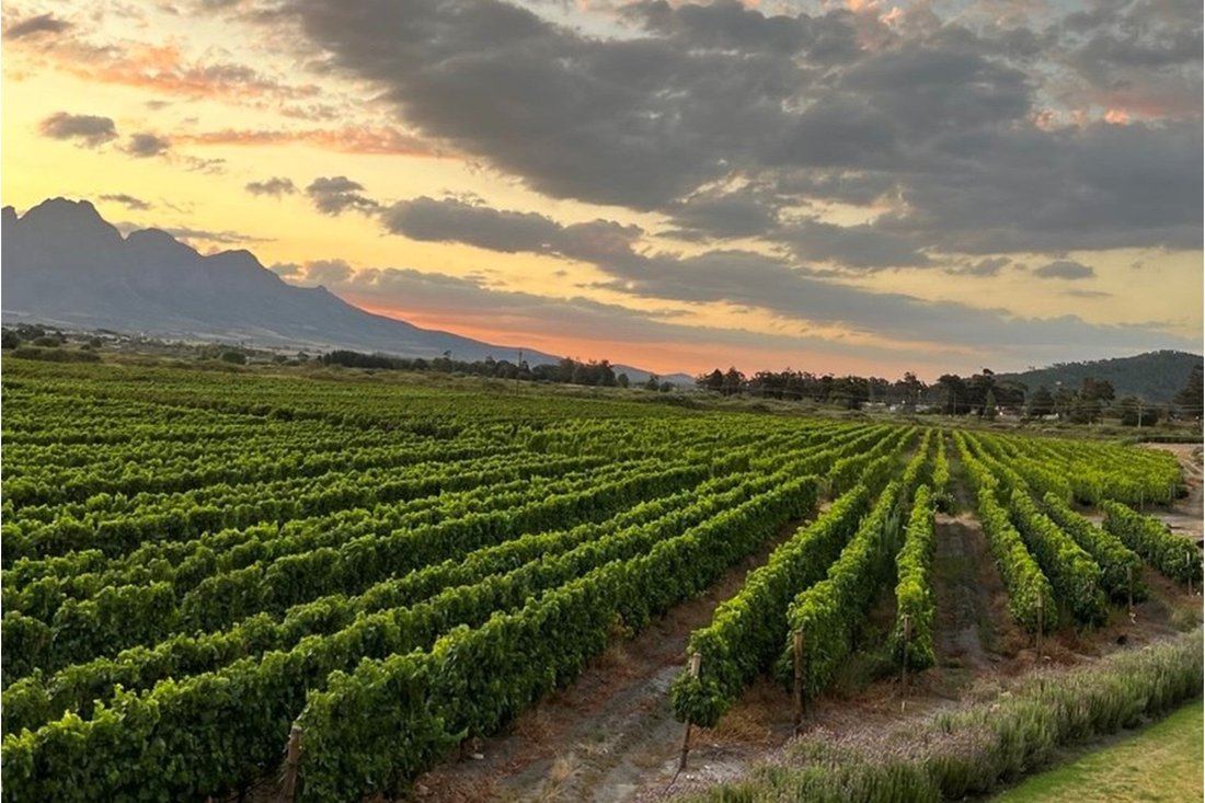 Farm Ranch in Franschhoek, Western Cape, South Africa 1 - 16106516