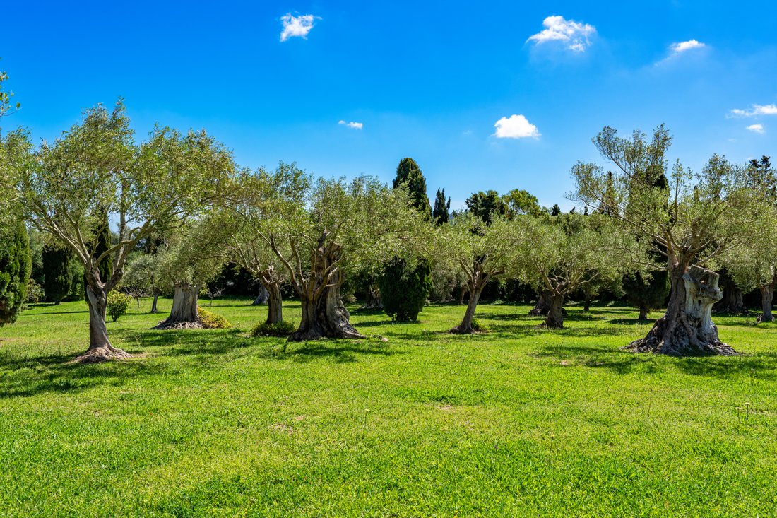 Villa a Capdepera, Isole Baleari, Spagna 3 - 16103725