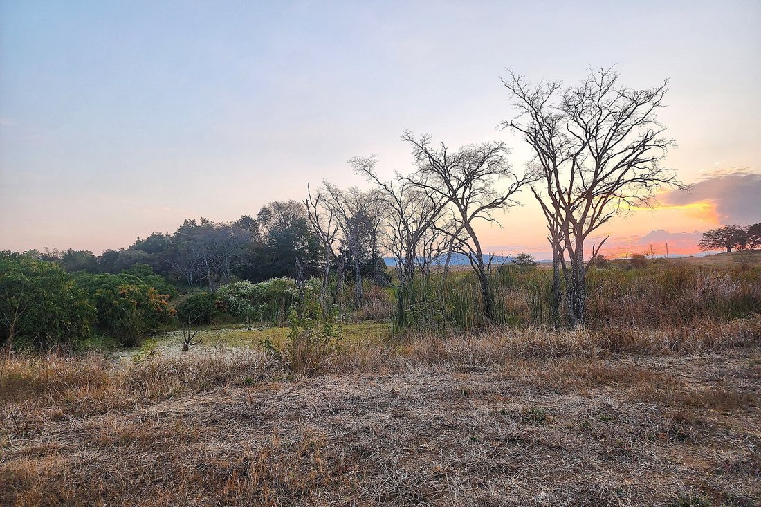 Farm Ranch in Tzaneen, Limpopo, South Africa 1 - 16106950