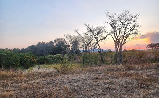 Farm Ranch in Tzaneen, Limpopo, South Africa 1