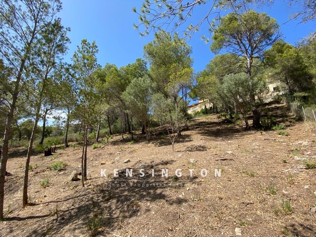 Land in Canyamel, Capdepera, Balearic Islands 4 - 16103770