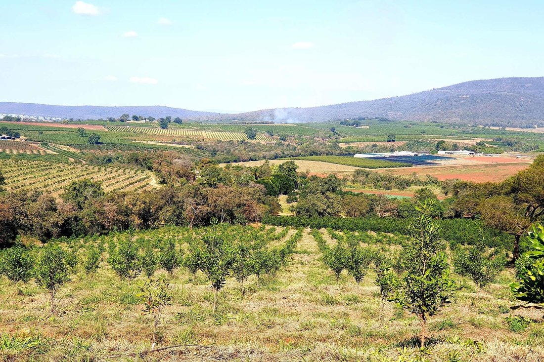 Farm Ranch in Tzaneen, Limpopo, South Africa 2 - 16107322