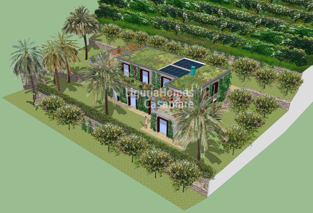 Land in Bordighera, Liguria, Italy 4 - 16105264