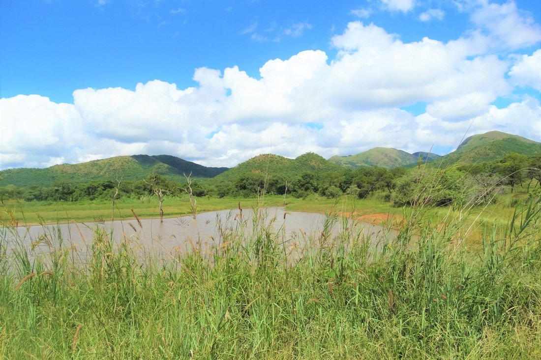 Farm Ranch in Malelane, Mpumalanga, South Africa 2 - 16106519