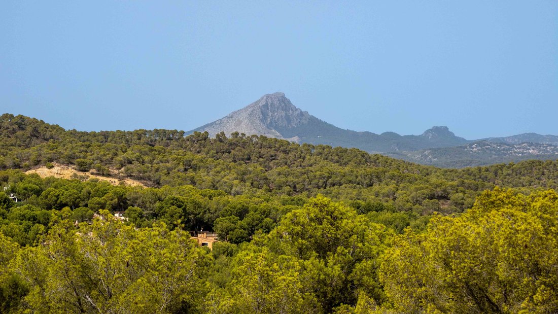 Villa in Rotes Velles, Calvia, Balearic Islands 5 - 16105384