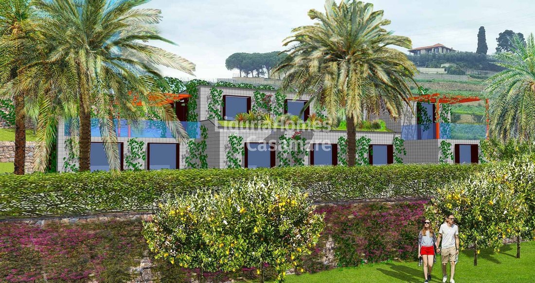 Land in Bordighera, Liguria, Italy 1 - 16105264