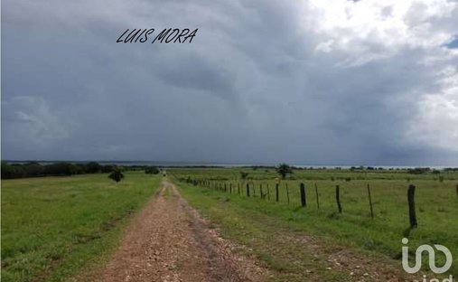 Luxury farm ranches for sale in Ozuluama de Mascareñas, Veracruz ...