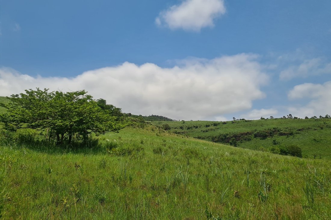 Farm Ranch in Mbombela, Mpumalanga, South Africa 4 - 16107978