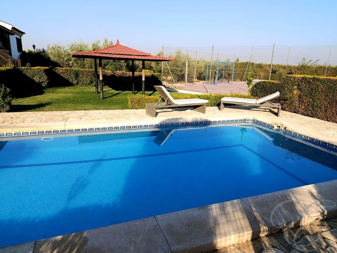 Villa in Moraleda de Zafayona, Andalusia, Spain 3 - 15074806