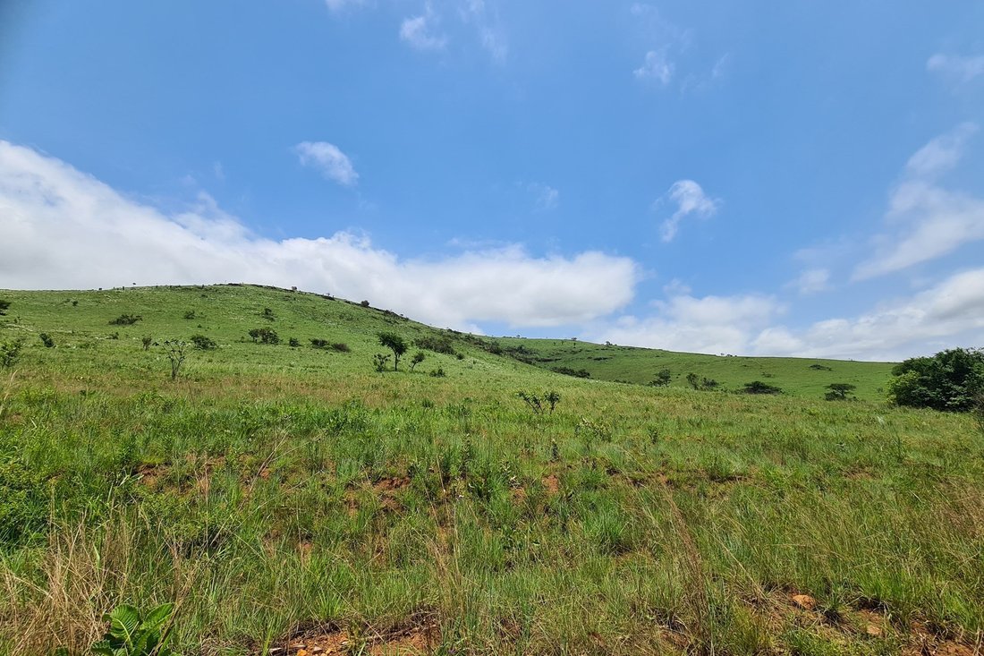 Farm Ranch in Mbombela, Mpumalanga, South Africa 3 - 16107978
