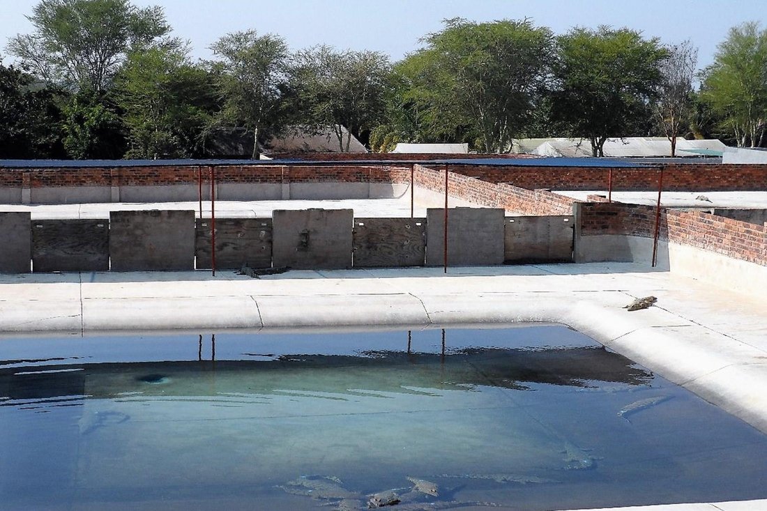 Farm Ranch in Mookgopong, Limpopo, South Africa 4 - 16106480