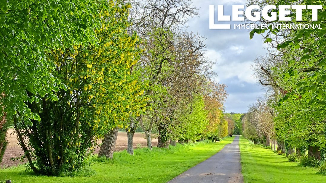 Whispers of the Loire: A Timeless Château in Sun-Dappled Seclusion