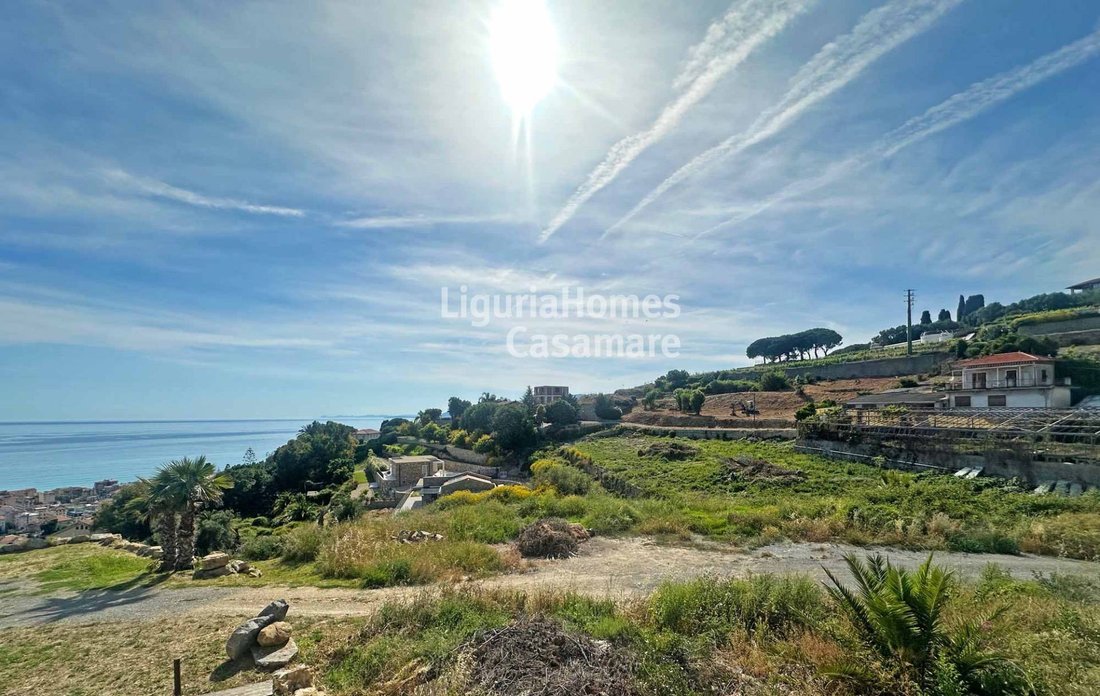 Land in Bordighera, Liguria, Italy 3 - 16105264