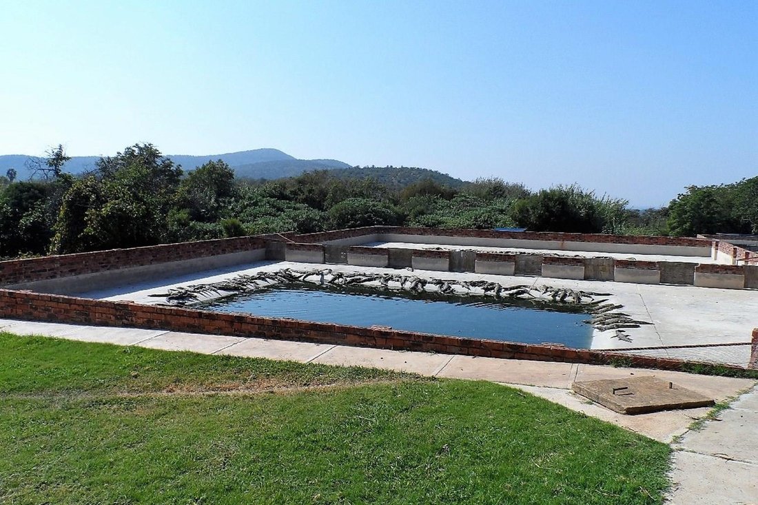 Farm Ranch in Mookgopong, Limpopo, South Africa 3 - 16106480
