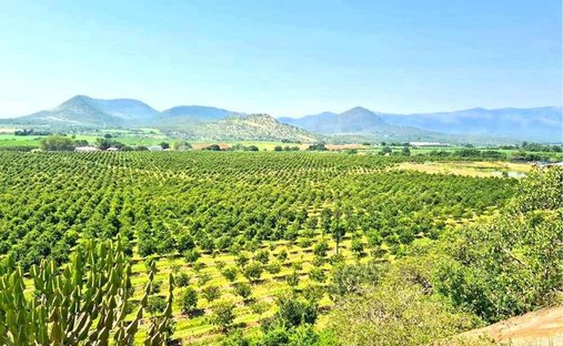 Farm Ranch in Malelane, Mpumalanga, South Africa 1