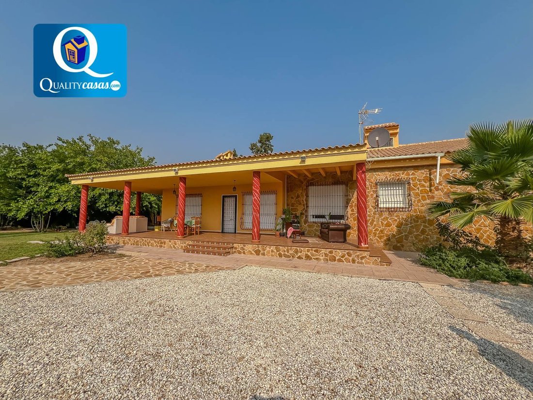 Villa in Aspe, Valencian Community, Spain 5 - 16105331