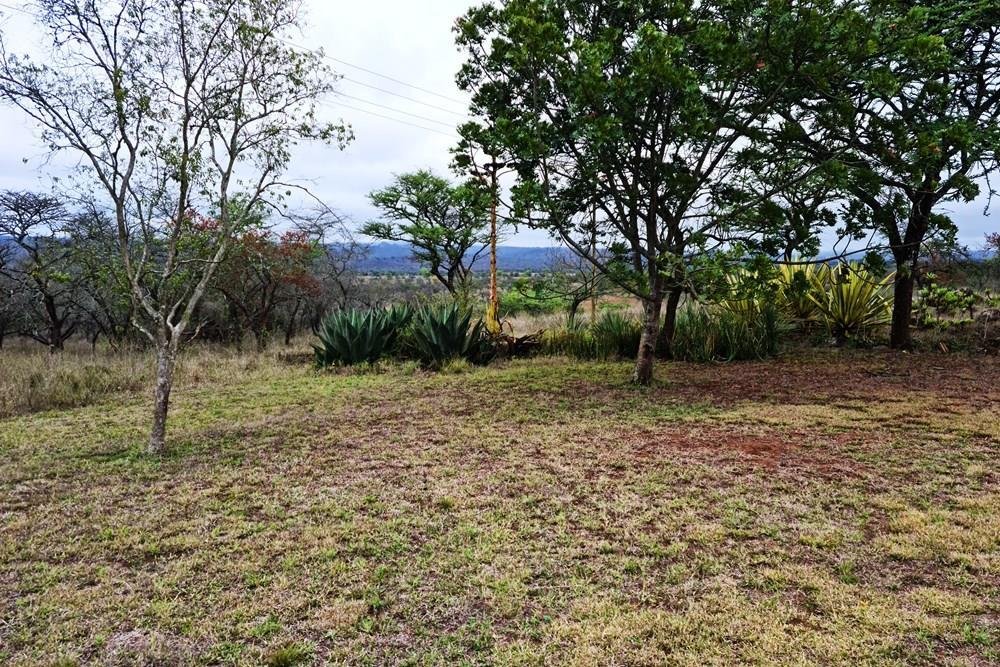 Farm Ranch in Louis Trichardt, Limpopo, South Africa 5 - 16107902