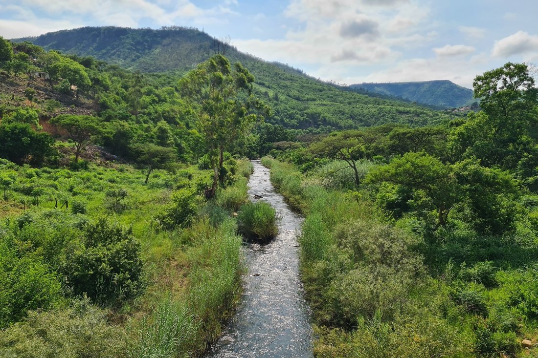 Farm Ranch in Mbombela, Mpumalanga, South Africa 1 - 16107978