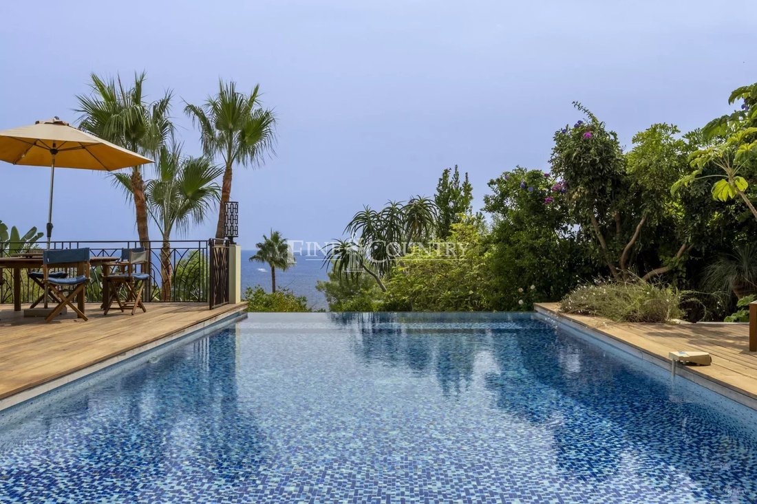 Villa in Cannes, Provence-Alpes-Côte d'Azur, France 1 - 16106659