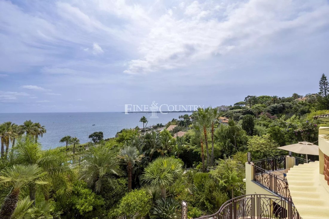Villa in Cannes, Provence-Alpes-Côte d'Azur, France 5 - 16106659
