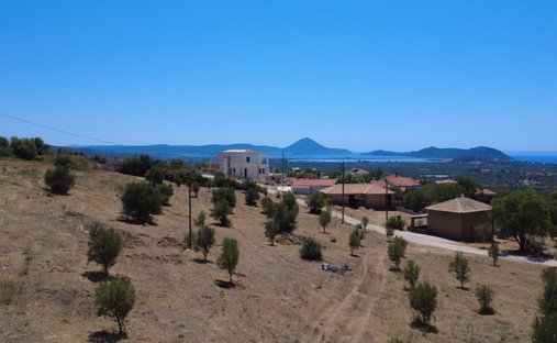 Land in Gargalianoi, Peloponnese, Western Greece and the Ionian, Greece 1