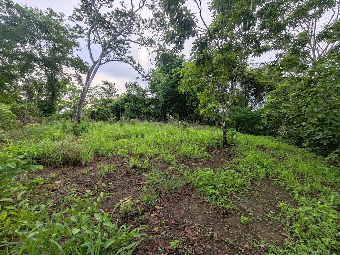 Land in Carmona, Guanacaste Province, Costa Rica 5 - 16109874